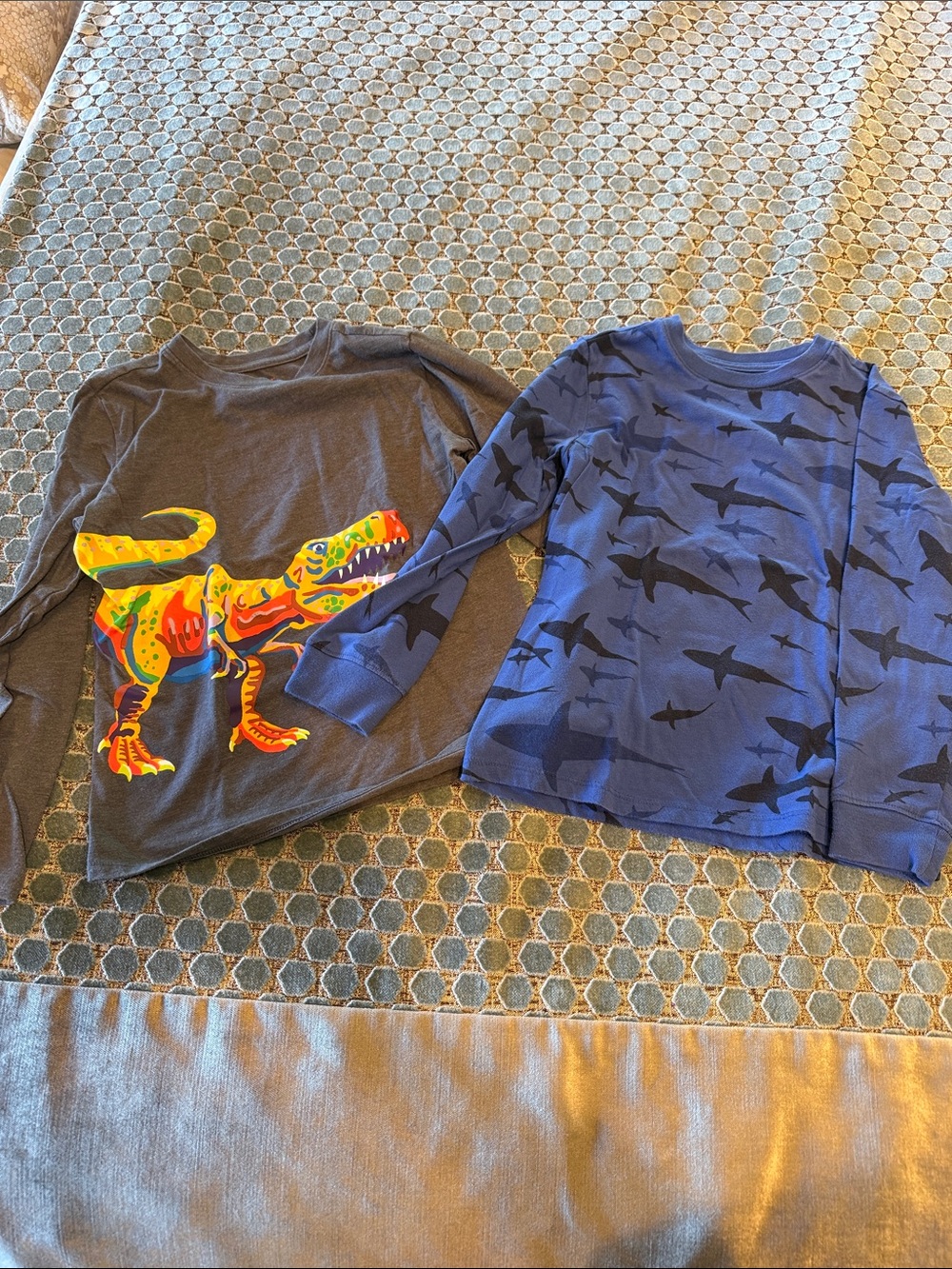 Cat & Jack Boys Long-Sleeve Tops - Blue Shark Print & Charcoal Dinosaur Graphic